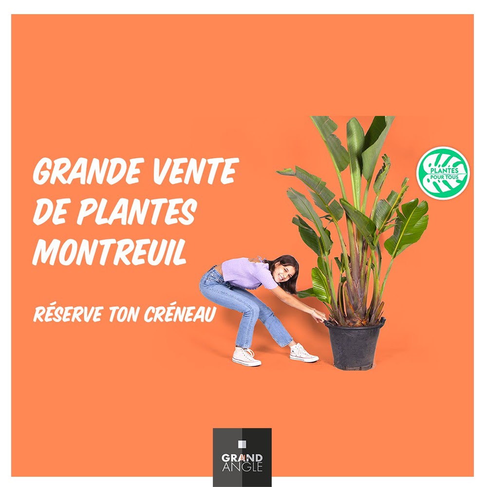 🌿 PLANTES POUR TOUS 🌿