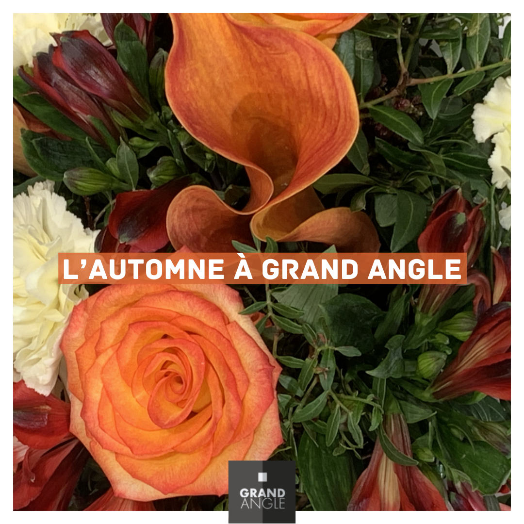 L’automne à GRAND ANGLE